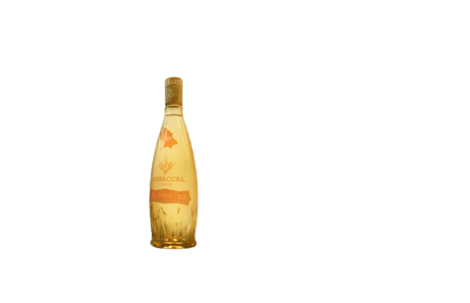 Botella 2